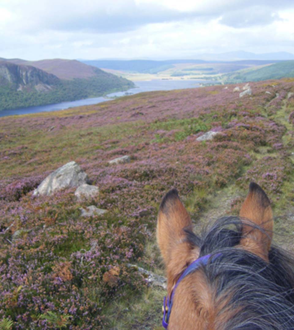 A view of Loch Ness from the back of a horse