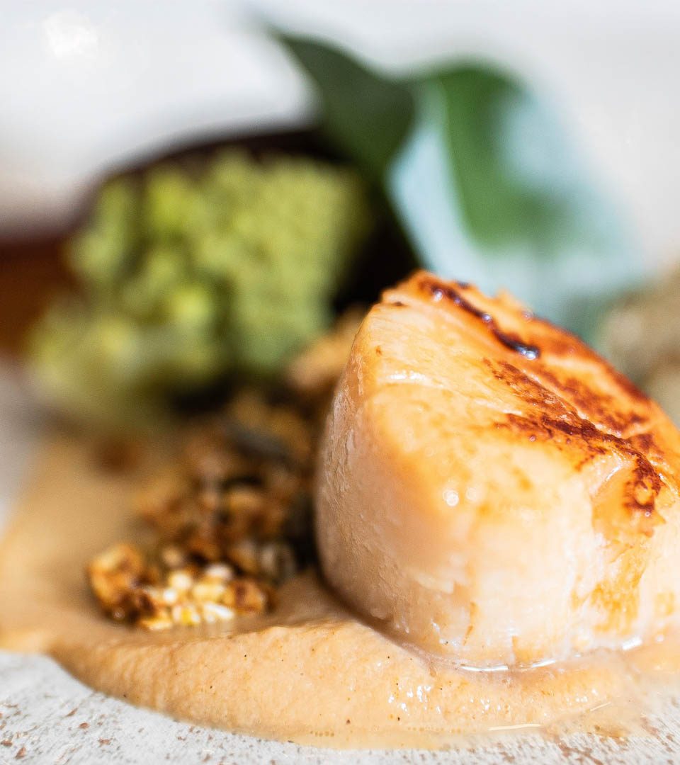 cooked Scallop