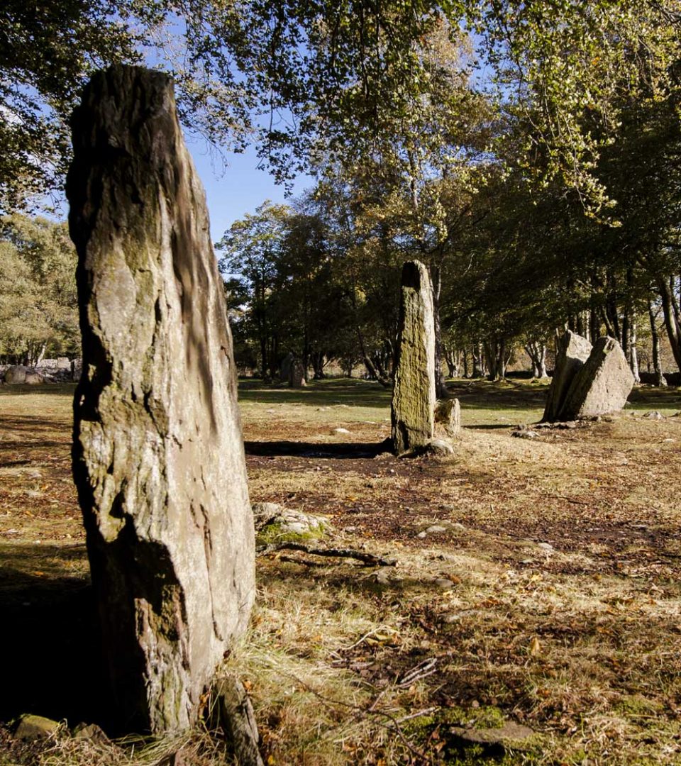 Standing stones at the Clava Cairns burial site near Inverness