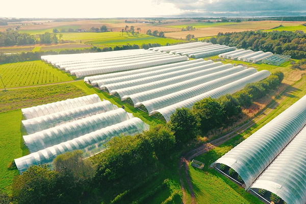 An aerial view of Wester Hardmuir Farm a fruit farm