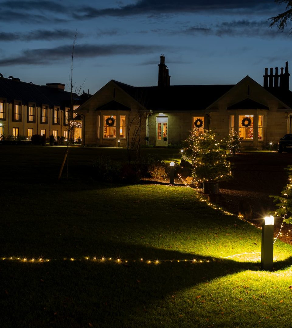 Christmas Trees outside Ness Walk