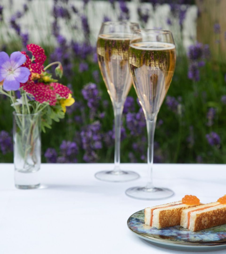 Canapes and Champagne in the Ness Walk Courtyard