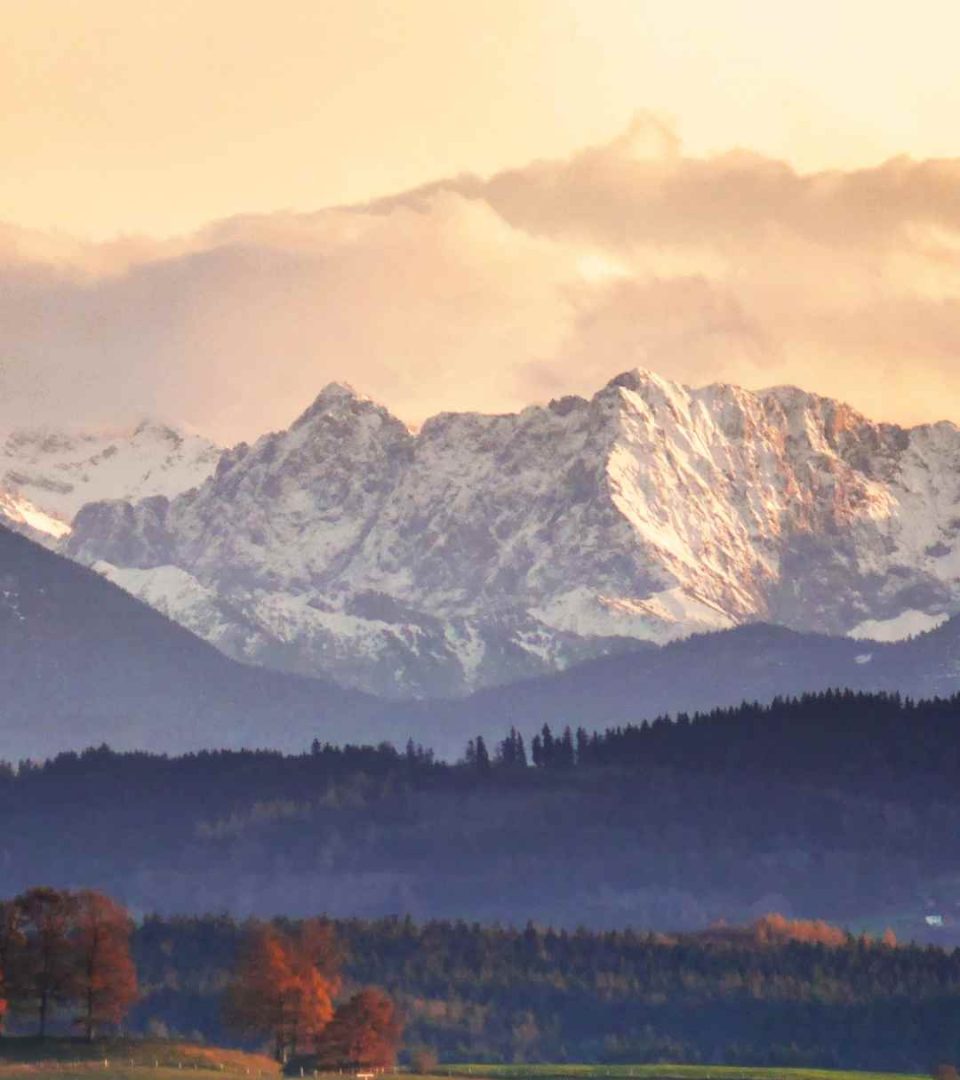 Alpine wine region with green plains and snow capped mountains in distance