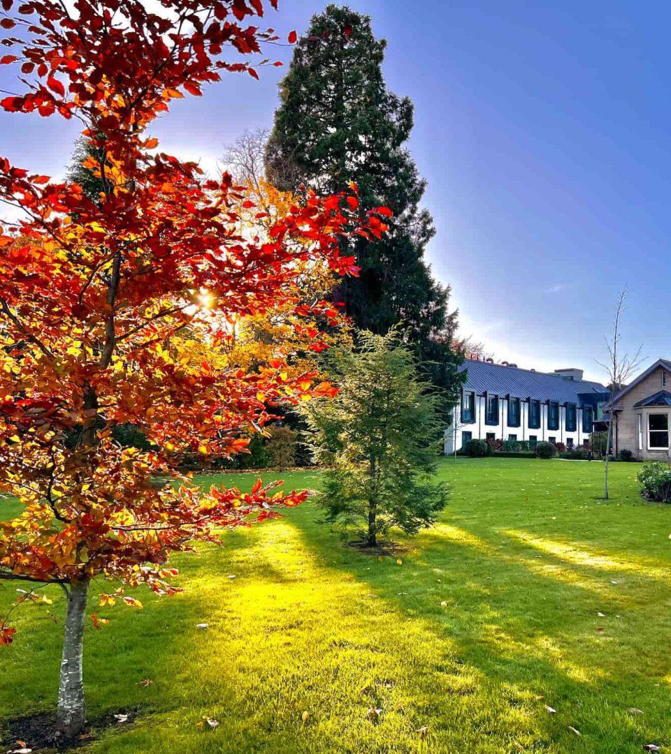 Autumn light shining through trees in front of Ness Walk Hotel