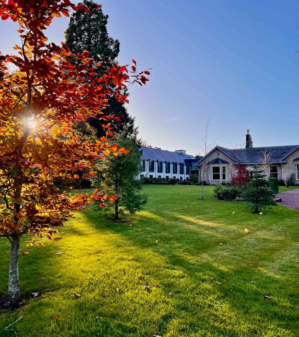 Autumn light shining through trees in front of Ness Walk Hotel