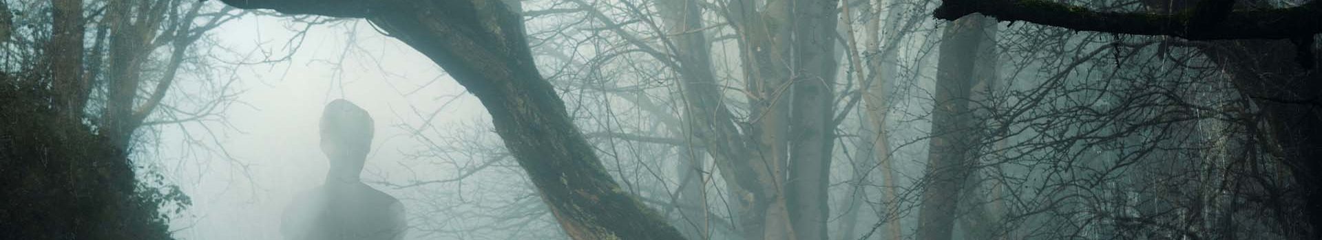 A ghostly figure shrouded in mist in the woods.