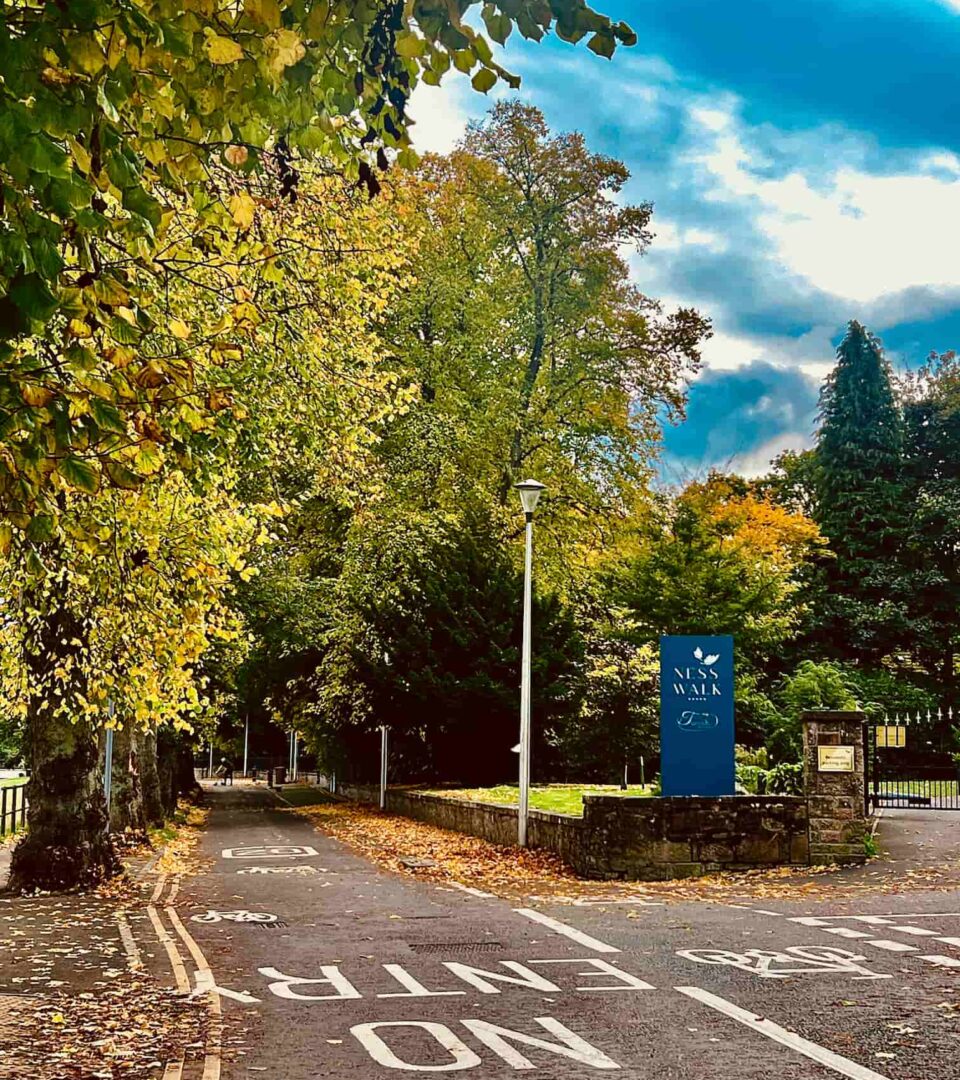 Autumn on the riverside